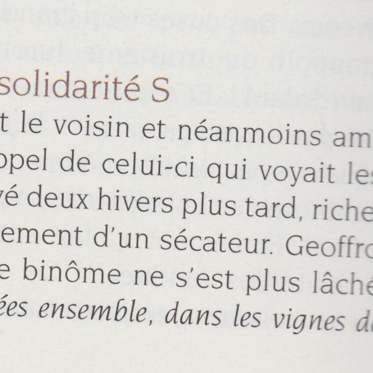 Terre de vin • 2007